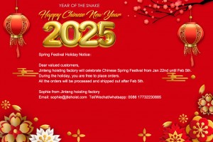 chinese-new-year 2025