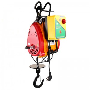 electric hoist (9)